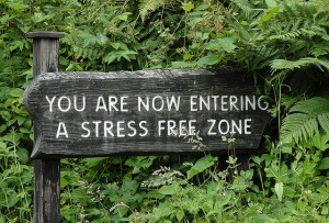 Stress Free Zone - How to Simplify Your Life & Reduce Stress